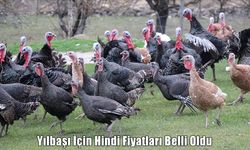 Yılbaşı sofralarının vazgeçilmezi hindi fiyatları belli oldu