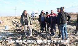 Erzincan’da 3 köyde 111 bin tuz çalısı toprakla buluşturuldu
