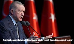 Cumhurbaşkanı Erdoğan: Türkiye'nin güçlü olmak dışında seçeneği yoktur