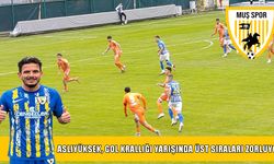 Muşspor'da gol krallığı yarışına Ersel damgası