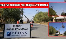 Muş kışa hazır: VEDAŞ, bakım ve yenileme çalışmalarını tamamladı