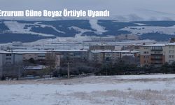 Erzurum Güne Beyaz Örtüyle Uyandı