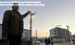 Yüksekova’da Tehlike Saçan Elektrik Direkleri: VEDAŞ İhmali Can ve Mal Güvenliğini Tehdit Ediyor