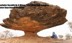 Diyarbakır Kocaköy’de 6 Milyon Yıllık Buzul Çağı Kalıntısı: Mantar Kaya Hayran Bırakıyor