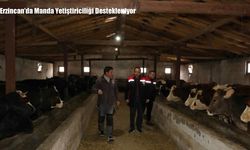 Erzincan’da Manda Yetiştiriciliği Destekleniyor