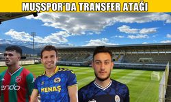 Muşspor transferde atağa kalkıyor
