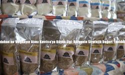 Ardahan’da ‘Buğdayın Atası Kavılca’ya Büyük İlgi