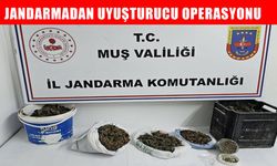 Muş’ta uyuşturucu operasyonu: 1 gözaltı