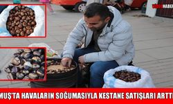 Muş'ta kış mevsiminin vazgeçilmezi kestane, tezgahlarda yerini aldı