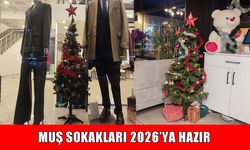 Muş’ta 2026 hazırlıkları başladı: Sokaklar yeni yıl temasıyla süslendi