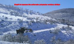 Bingöl’de kapalı köy yolları bir bir açılıyor