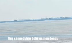 Kuş cenneti Arin Gölü kısmen dondu