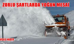 Muş-Kulp-Diyarbakır yolunda ekiplerin karla mücadele çalışması