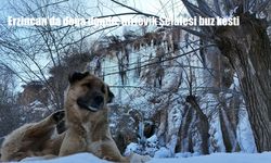 Erzincan’da doğa dondu, Girlevik Şelalesi buz kesti