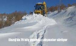 Elazığ’da 79 köy yolunda çalışmalar sürüyor