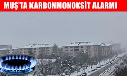 Muş’ta doğalgaz kullanıcılarına "Karbonmonoksit" uyarısı!