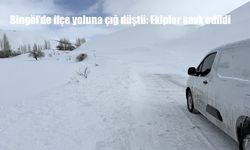Bingöl'de ilçe yoluna çığ düştü: Ekipler sevk edildi