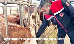 Erzurum'da 2025 yılında üreticiye güçlü destek