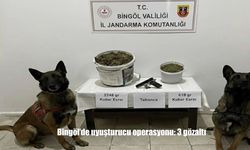 Bingöl'de uyuşturucu operasyonu: 3 gözaltı
