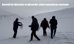 Darende'de öğretmen ve öğrenciler yaban hayvanlarını unutmadı