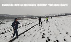 Diyarbakır'da kaybolan kadını arama çalışmaları 7'nci gününde sürüyor