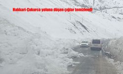 Hakkari-Çukurca yoluna düşen çığlar temizlendi