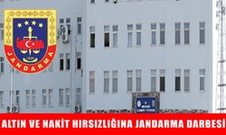 Muş’ta gözaltına alınan hırsızlık şüphelisi serbest bırakıldı