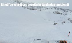 Bingöl'de yola düşen çığ ekipler tarafından temizlendi