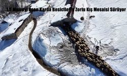 1,5 Metreyi Aşan Karda Besicilerin Zorlu Kış Mesaisi Sürüyor