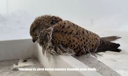 Yüksekova'da yürek burkan manzara: Konduğu yerde dondu