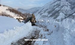 Kulp’ta kış yüzünü sert gösterdi