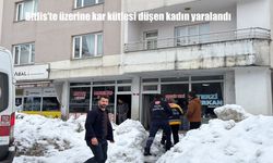 Bitlis'te üzerine kar kütlesi düşen kadın yaralandı