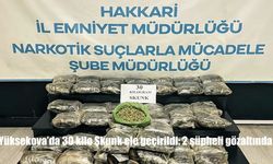 Yüksekova’da 30 kilo Skunk ele geçirildi: 2 şüpheli gözaltında