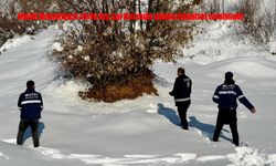 Mutki Belediyesi zorlu kış şartlarında yaban hayatını unutmadı