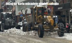 Elazığ’da karla mücadele ekipleri sahada