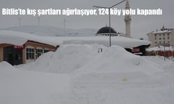 Bitlis'te kış şartları ağırlaşıyor, 124 köy yolu kapandı