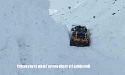 Yüksekova'da mezra yoluna düşen çığ temizlendi