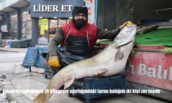 Elazığ'da yakalanan 78 kilogram ağırlığındaki turna balığını iki kişi zor taşıdı