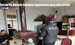 Tercan’da Huzurlu Sokaklar uygulaması gerçekleştirildi