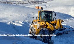 Bingöl’de Yoğun Kar Yağışı Sonrası 46 Köy Yolunda Çalışmalar Sürüyor