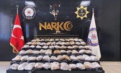Van’da 39 Kilo 340 Gram Skunk Maddesi Ele Geçirildi