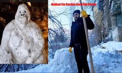 Hakkari’de Kardan Goril İlgi Gördü