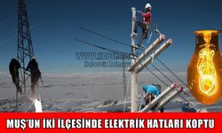 Muş'u fırtına vurdu: 7 köy ve 9 mezra elektriksiz kaldı