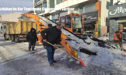 Ardahan’da Kar Temizleme Çalışmaları Sürüyor