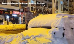 Tunceli’de Yoğun Kar Hayatı Olumsuz Etkiliyor
