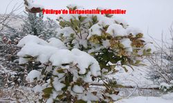 Pütürge beyaza büründü, ortaya kartpostallık manzaralar çıktı