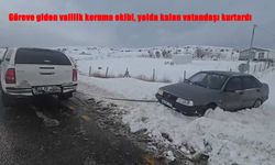 Valilik Koruma Ekibinden Hayat Kurtaran Müdahale