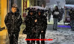 Erzincan’da lapa lapa kar yağışı