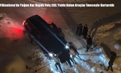 Yüksekova’da Yoğun Kar Hayatı Felç Etti: Yolda Kalan Araçlar İmeceyle Kurtarıldı