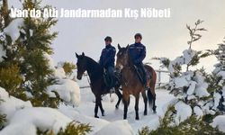 Van’da Atlı Jandarmadan Kış Nöbeti